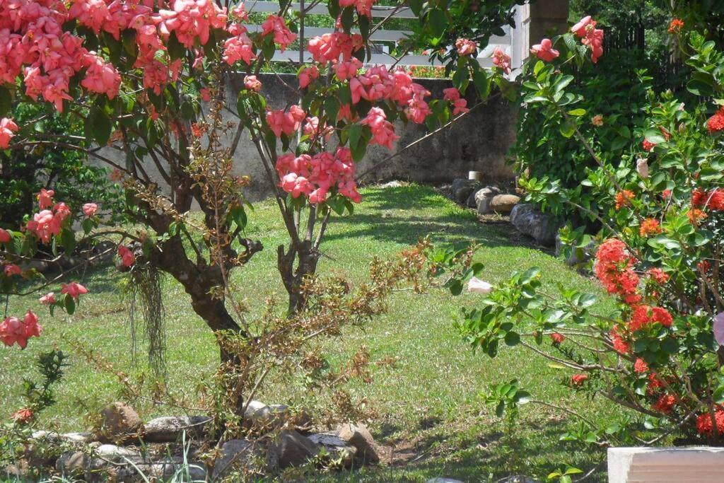 Idilio Escape Apartment Ocho Rios Exterior foto